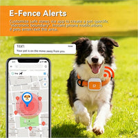 at GPS tracker collar with real-time location monitoring