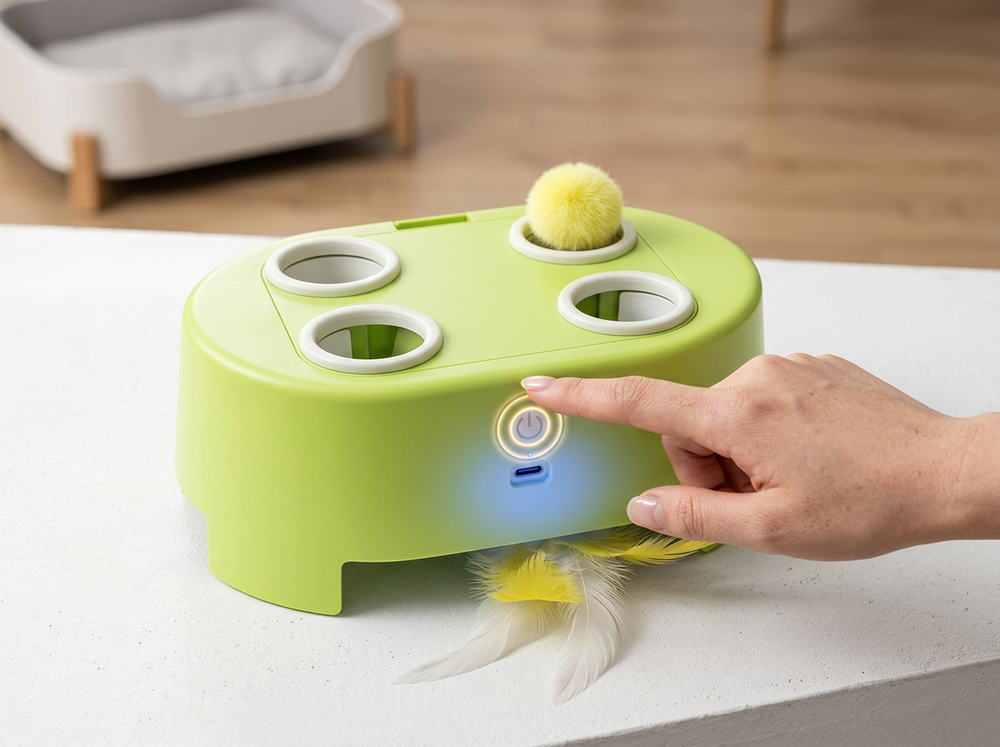 Owner charging USB rechargeable electric cat toy.