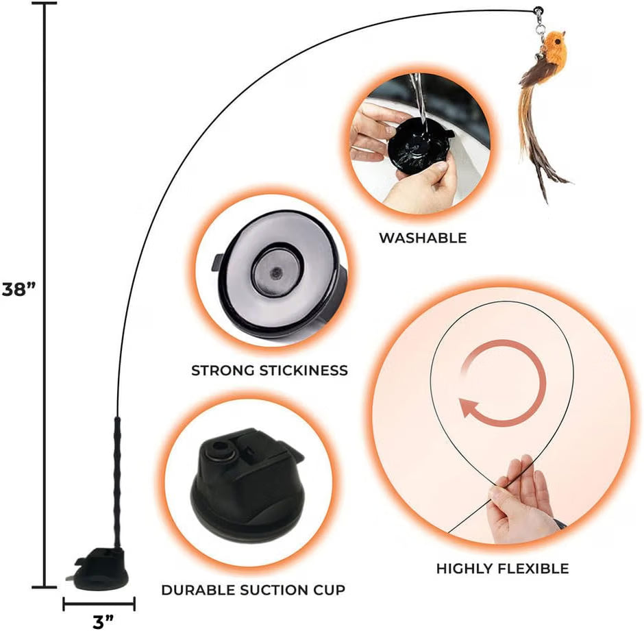 Interactive bird cat toy for chasing and pouncing