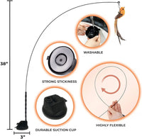 Interactive bird cat toy for chasing and pouncing