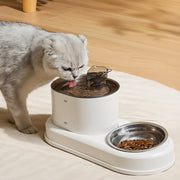 Circulating cat water fountain designed for everyday pet hydration