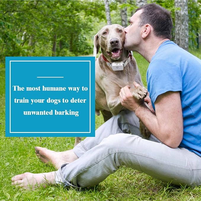 Citronella spray dog training collar with rechargeable remote control