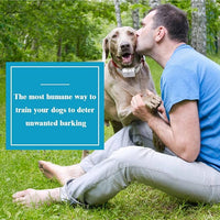 Citronella spray dog training collar with rechargeable remote control