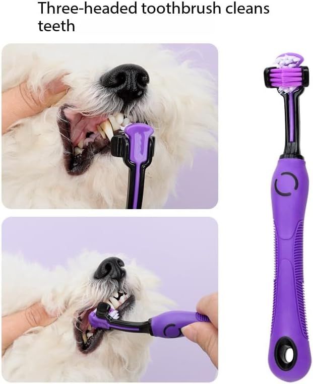 Dog combing tool for regular coat grooming and managing minor tangles