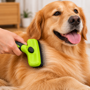 Pet grooming comb set for combing detangling and maintaining dog hair