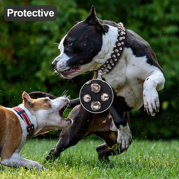 Adjustable dog collar suitable for small medium and large breeds