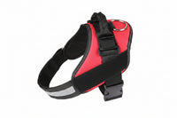 Adjustable dog harness for medium and large dogs with leash set