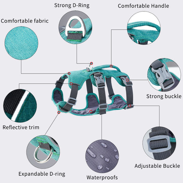No pull dog harness with comfortable chest support for daily walks