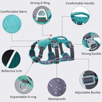 No pull dog harness with comfortable chest support for daily walks