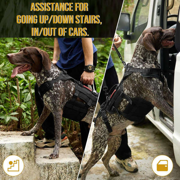 Full body dog support harness for walking and daily movement