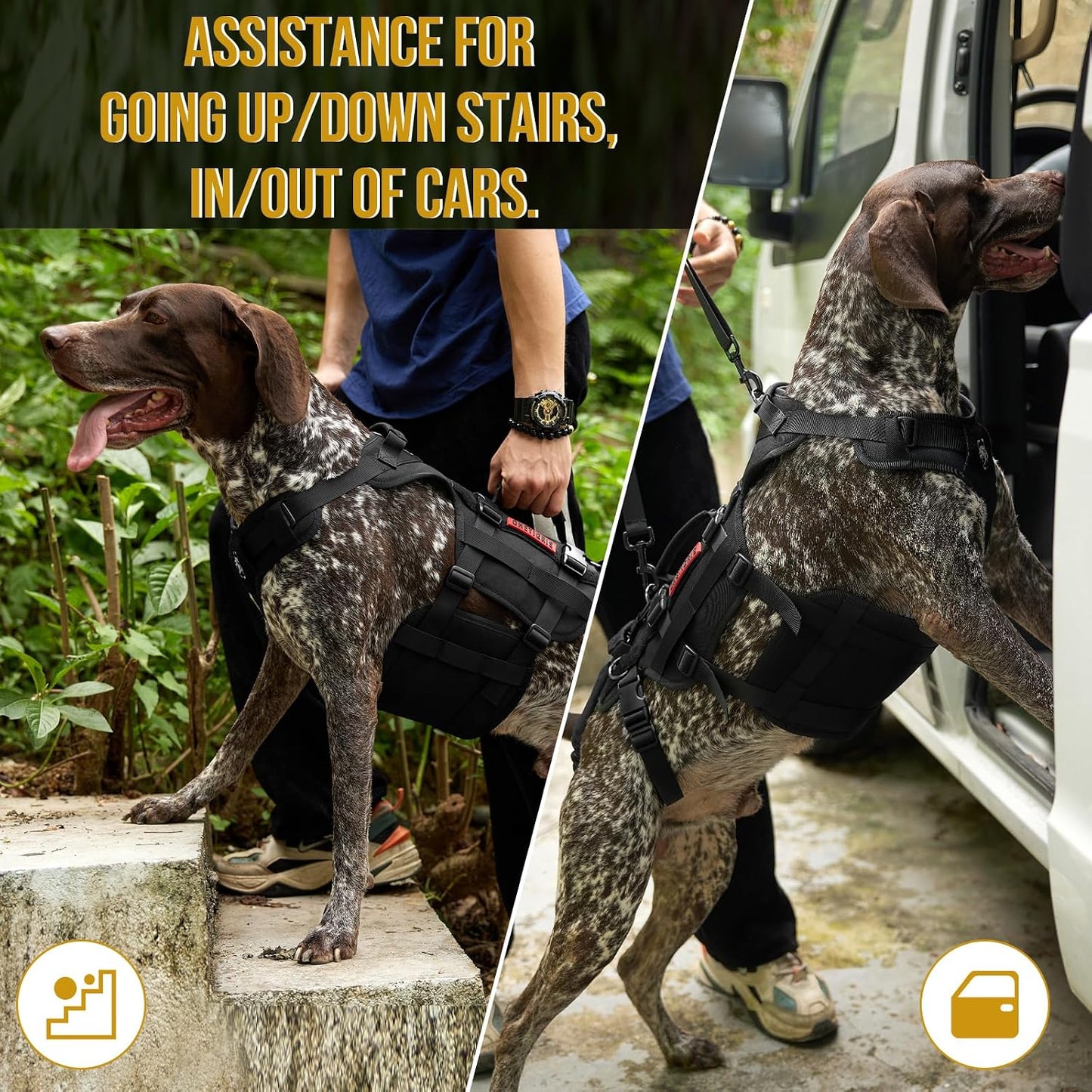 Full body dog support harness for walking and daily movement