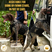Full body dog support harness for walking and daily movement