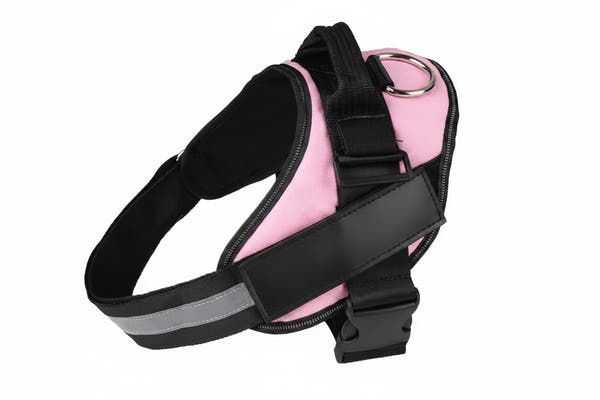 Dog harness and leash set for outdoor walking and training