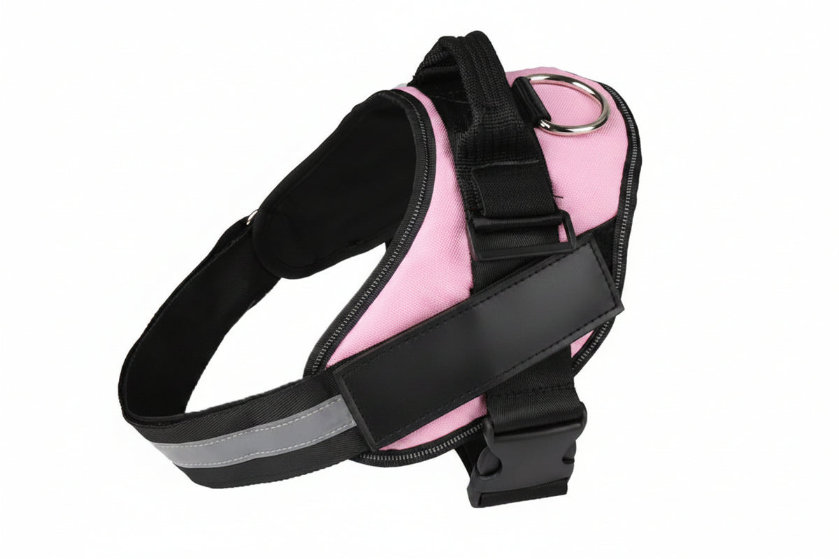 Dog harness and leash set for outdoor walking and training