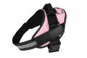 Dog harness and leash set for outdoor walking and training