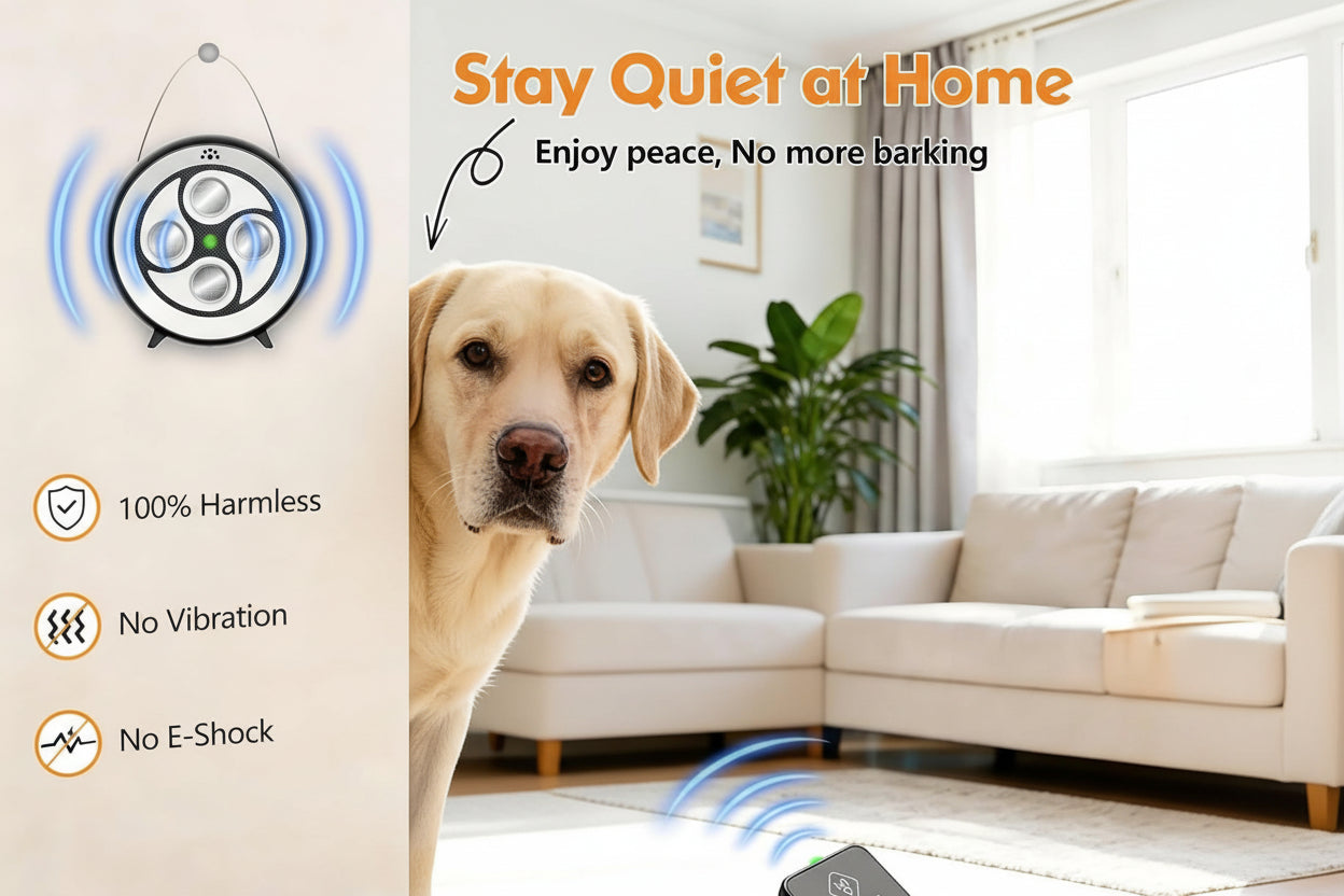 Remote-controlled dog barking deterrent for convenient ultrasonic bark training