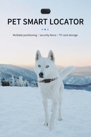 Pet location tracker shown with compatible dog and cat collars