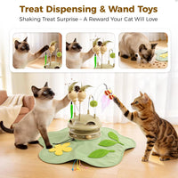 Rechargeable cat activity and exercise toy designed for indoor use