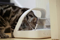 Stainless steel dog feeder bowl designed for compatible pet feeding systems