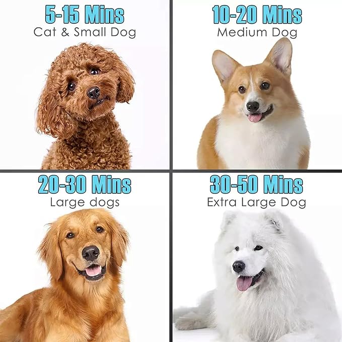 Dog grooming blower with adjustable heat settings and nozzles