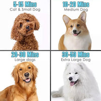 Dog grooming blower with adjustable heat settings and nozzles