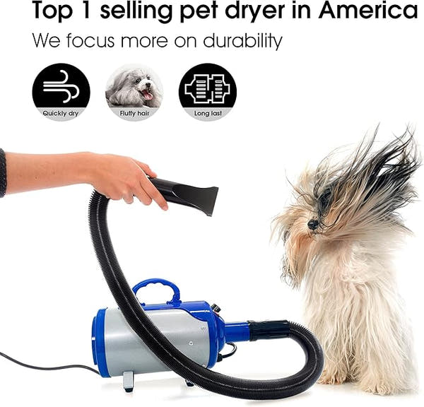Dog hair dryer with adjustable heat and grooming nozzles