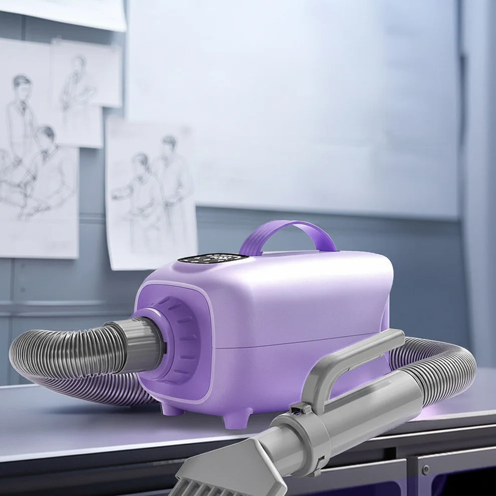 Dog hair dryer with powerful airflow for pet grooming