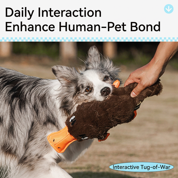 Soft dog plush toy designed for interactive indoor play