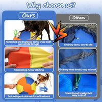 Dog toy ball with built-in handles for carrying and interactive play