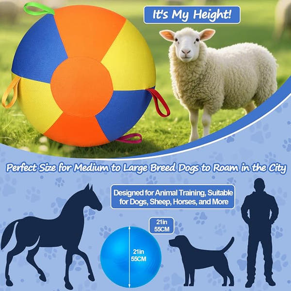 Dog training ball with handles for supervised outdoor activities