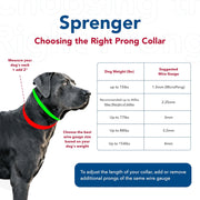 Steel dog training collar featuring adjustable prong links and chain section