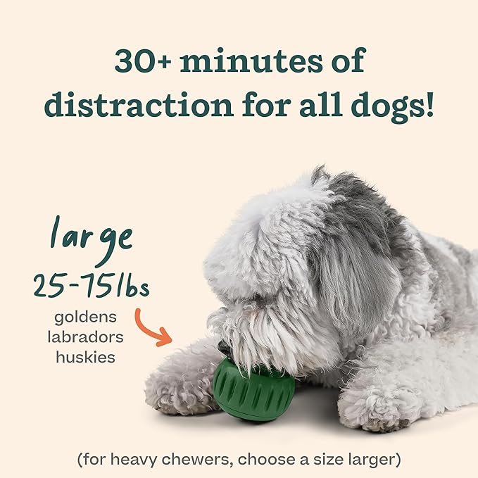 Dog treat ball for interactive feeding and mental stimulation