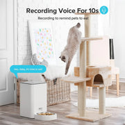 Dry dog food feeder with programmable feeding function