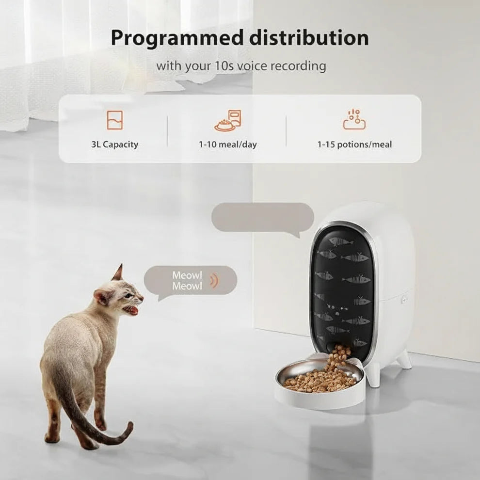 Dry food pet dispenser for automatic cat and dog feeding