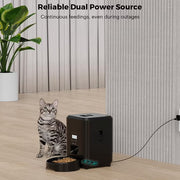 Dry food pet feeder for daily cat and dog meals