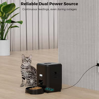 Dry food pet feeder for daily cat and dog meals