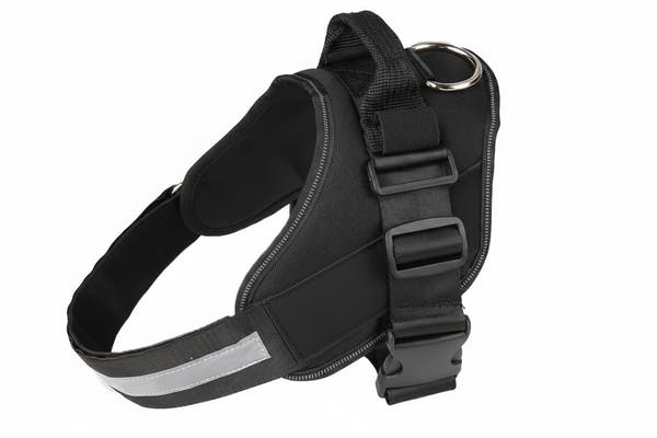Strong dog harness and leash set for regular outdoor use