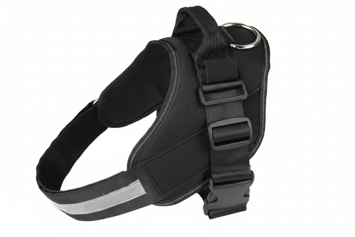 Strong dog harness and leash set for regular outdoor use