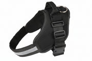 Strong dog harness and leash set for regular outdoor use