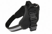Strong dog harness and leash set for regular outdoor use