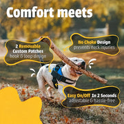 Dog harness with secure leash attachment for walking