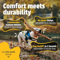 Dog harness with secure leash attachment for walking