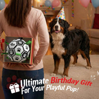 Dog soccer ball with straps designed for throwing and retrieving