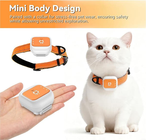 Electronic fence pet tracker with virtual safe zone monitoring