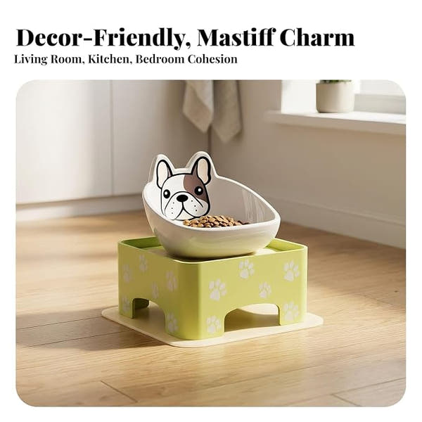 Elevated dog bowl with adjustable stand and anti-slip base