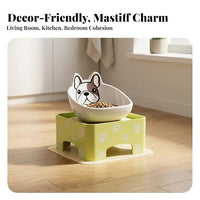 Elevated dog bowl with adjustable stand and anti-slip base