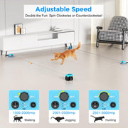 Interactive cat toy encouraging natural chasing tracking and pouncing behaviour