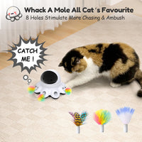 Interactive cat activity toy encouraging chasing pawing and pouncing