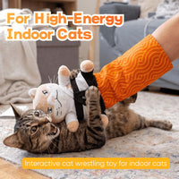 Cat wrestling glove with extended arm sleeve for supervised play