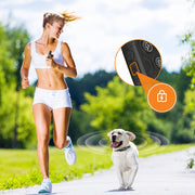 Dog training collar with remote-operated static stimulation training function